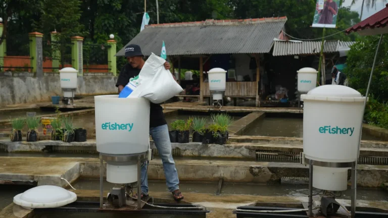 Sources: SoftBank-Backed eFishery, Notable Agritech Startup in Indonesia, Lays Off Over 1,000 Employees